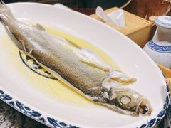 鸡汁白鱼-南京大牌档(崇文门国瑞店)