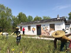 -溱湖国家湿地公园