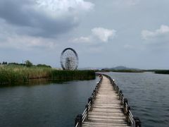 -太湖湖滨国家湿地公园-停车场