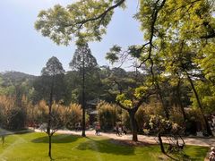 -红螺寺