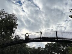 -深圳野生动物园