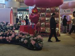 -上海长风大悦城