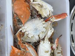 -仙螺岛海鲜自助餐厅(总店)
