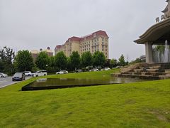 -星光岛