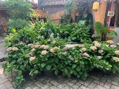 -园林美食城·本土农家菜(杨和镇店)