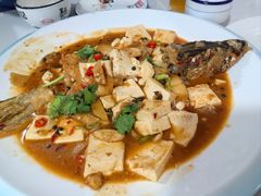 -煲来饱去冷水鱼