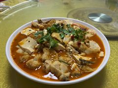 -煲来饱去冷水鱼