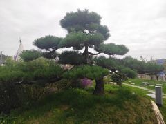 -贵阳高新惠诚食品有限公司