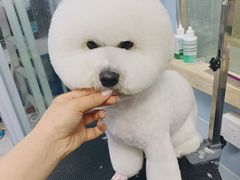 -八公叔叔宠物美容连锁(春申店)