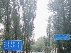 -秦皇岛野生动物园