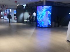 -国芳中心