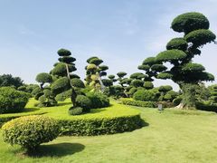 -南宁南湖公园