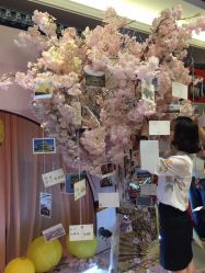 -忆江南婚礼策划(姑苏店)