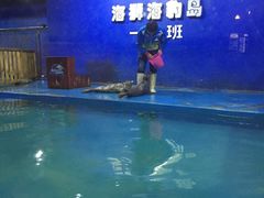 -重庆欢乐海底世界