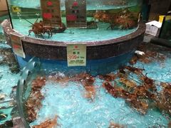 水产区-西贝海鲜汇(槐安路店)