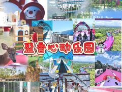 -盈香心动乐园