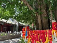 -潭柘寺景区