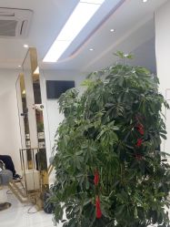 -阿三造型烫染•接发