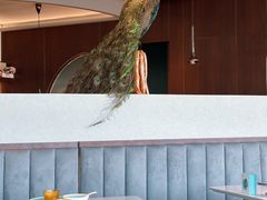 -雀蓝川菜(滨湖万象汇店)