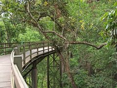 -野象谷景区