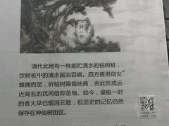 -神仙树公园