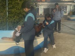 -海合安成都极地海洋公园