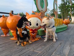 -上海长兴岛郊野公园