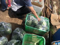 -庞各庄西瓜蔬菜采摘园·锦华瓜园