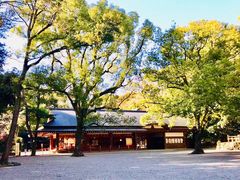 -热田神宫