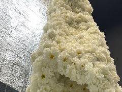 -HELEN FLORAL DESIGN(海上世界文化艺术中心店)