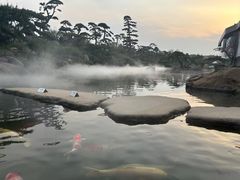 -罗红摄影艺术馆