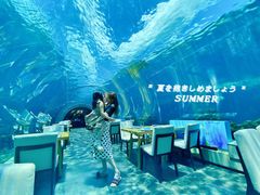 -海棠湾洲际-涛·海底餐厅·美人鱼·自助餐·海底隧道