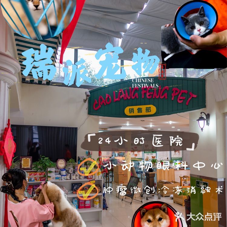 苏州探店｜24H 宠物医院🏥