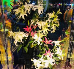 -奈瑞儿美颜美养SPA