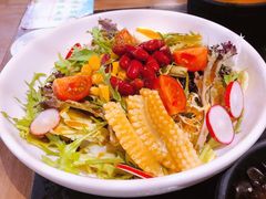 蔬菜沙拉-九田家黑牛烤肉料理(石路天虹店)