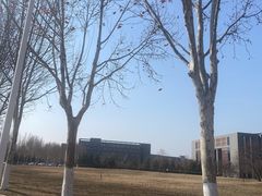 -河南财经政法大学(郑东校区)