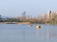 -洋湖国家湿地公园
