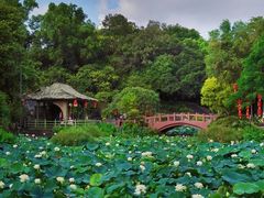 -广州莲花山旅游区