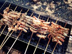 -水韵湾生态农庄