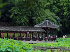 -龙头寺公园