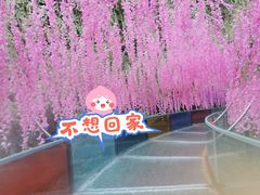 -十渡东湖港风景区