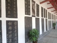 -万寿八仙宫