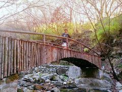 -青峰峡国家森林公园