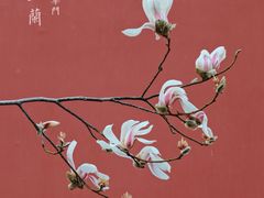 -东华门大街小区