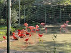 -石家庄市动物园