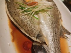 清蒸鲈鱼-觅唐MITONG(鸟巢店)