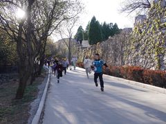 -原山国家森林公园