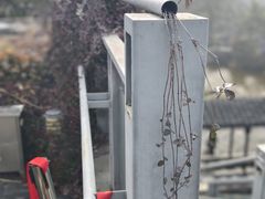 -江宁织造博物馆