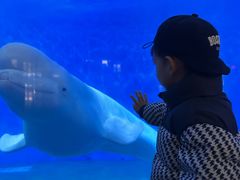 -泉城欧乐堡海洋极地世界