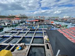 -蓝湾碧波·老字号·疍家非遗海上餐厅